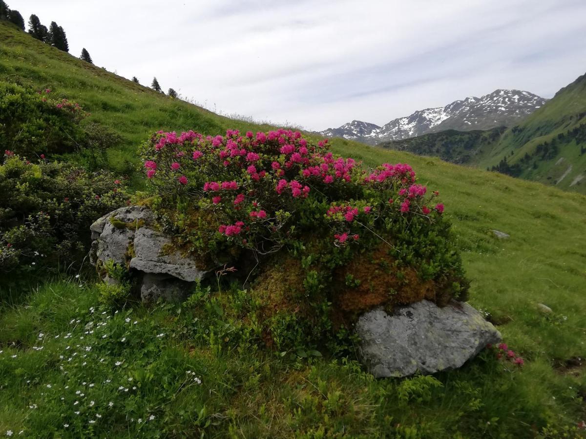 Appartment Moser Alpbach Luaran gambar
